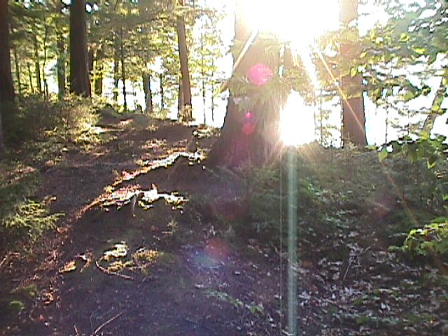 Adirondack Lake, declining Sun